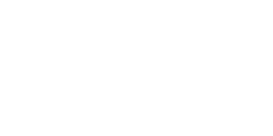 Team fEMR Logo