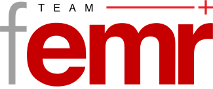Team fEMR Logo